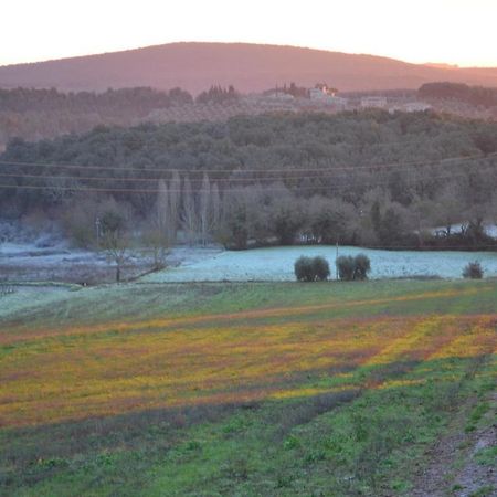 Podere Ficareto Farm Ancaiano Extérieur photo