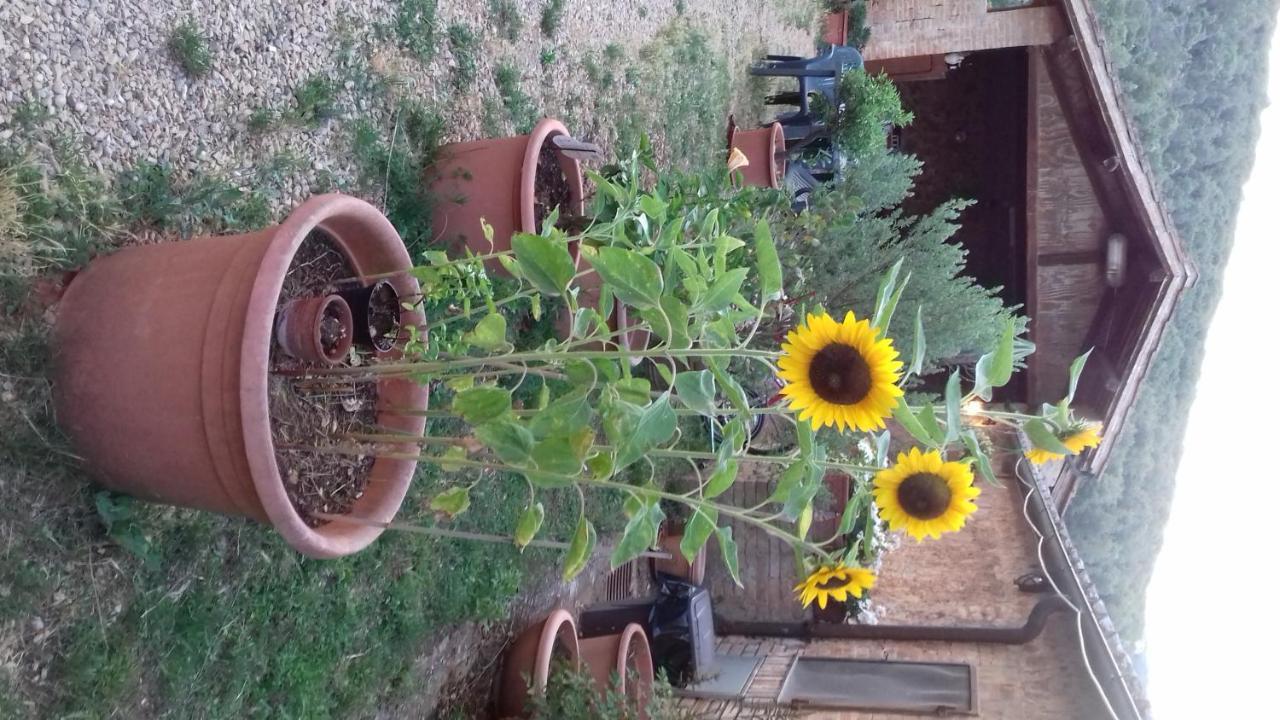Podere Ficareto Farm Ancaiano Extérieur photo